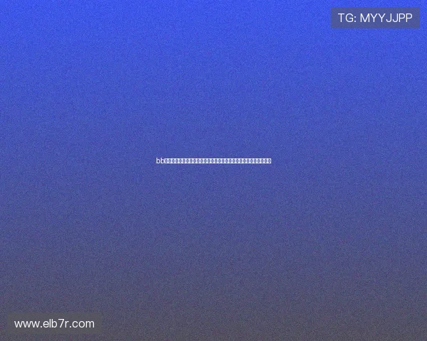 bb体育网站世界杯现场报道：现场直击、球迷互动与赛事氛围全景呈现